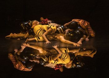 Palco Carioca apresenta companhias de dança a preços populares