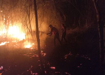 Mais um incêndio de grande proporção é registrado no município de Ubaíra