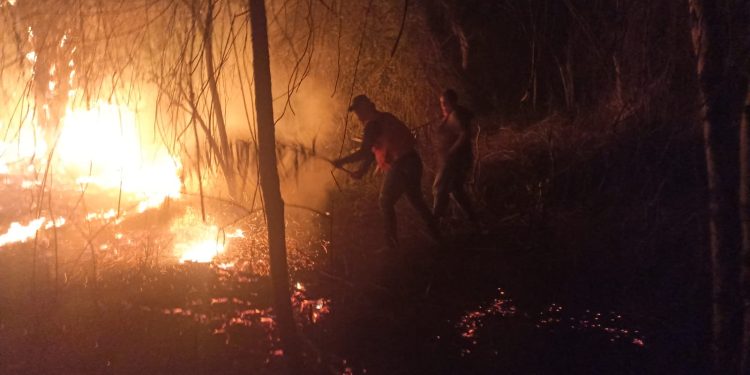 Mais um incêndio de grande proporção é registrado no município de Ubaíra