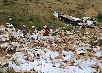 Carreta carregada de carne tomba na BR-420, perímetro de Ubaíra