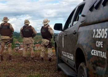 CIPE Central encontra plantação com 50 mil pés de maconha em Iramaia; Arma de fogo foi apreendida